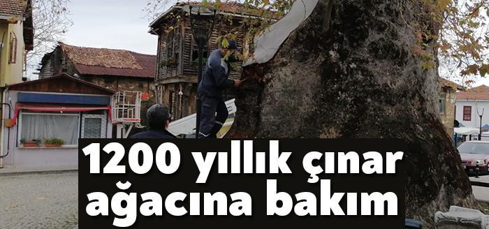 Kocaeli Büyükşehir Belediyesi Gölcük ilçesi Saraylı Köy Meydanı’nda bulunan Saraylı