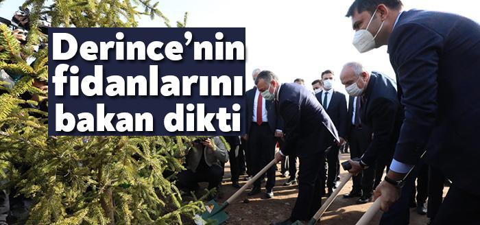 Çevre ve Şehircilik Bakanı Murat Kurum, Derince Millet Bahçesi’ndeki fidan