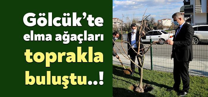 Gölcük Belediye Başkanı Ali Yıldırım Sezer, Narlı Park’a 41 adet