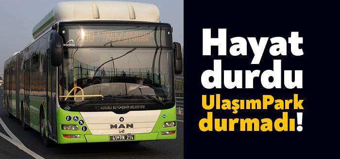 Kocaeli Büyükşehir Belediyesi iştiraklerinden UlaşımPark sokağa çıkma yasağında 239 otobüsle