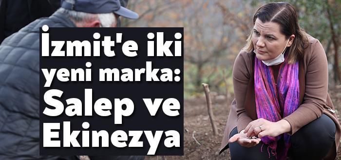 Kocaeli Haber. İzmit’in çeşitli köylerinde tarımsal ürünlerin üretimine imza atan