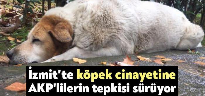Kocaeli Haber. AKP İzmit Belediye Meclis Üyesi Fatih Özcan, sokağa