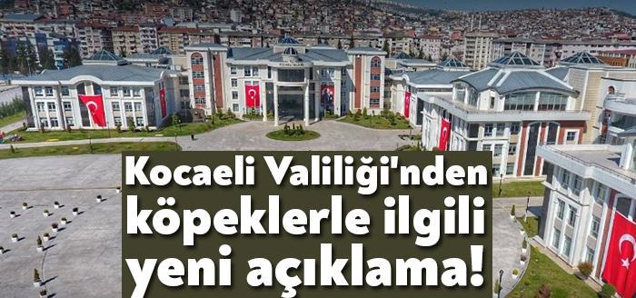 İzmit'te ölü bulunan köpeklerle ilgili Kocaeli Valiliği'nden köpeklerle ilgili yeni
