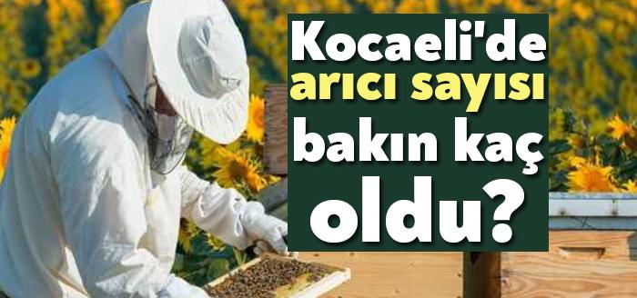 Kocaeli Büyükşehir Belediye Başkanı Tahir Büyükakın, Kocaeli'de 400 olan arıcı