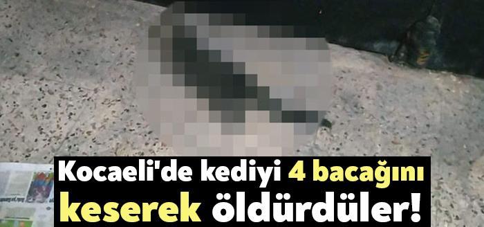 Kocaeli Haber. Kocaeli’nin Gölcük ilçesinde pasajda 4 bacağı kesili halde