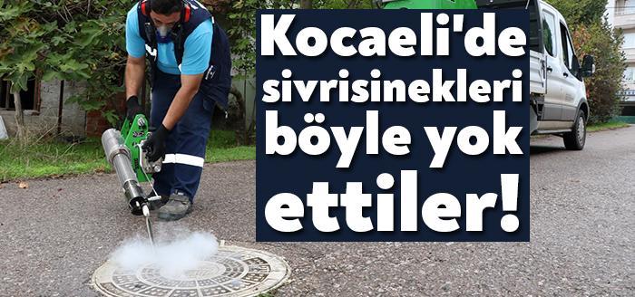 Kocaeli Büyükşehir Belediyesi vatandaşların rahat bir yaz mevsimi geçirmesi için