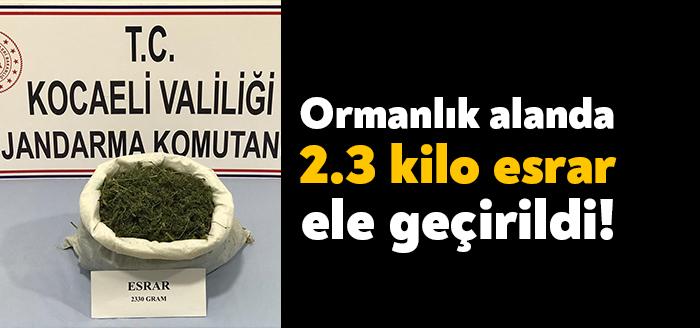 Kocaeli İl Jandarma Komutanlığı ekipleri tarafından İzmit Mecidiye mahallesindeki ormanlık