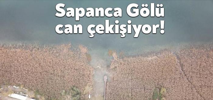 Sakarya'nın içme suyu ihtiyacının yüzde 90'ının, Kocaeli'nin ise yüzde 15'inin