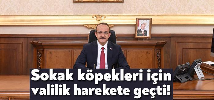 Vali Seddar Yavuz, Kaymakamların koordinasyonunda, kurum ve kuruluşlar ile gönüllülerinde