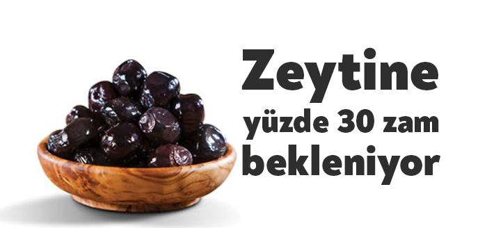 Ulusal Zeytin ve Zeytinyağı Konseyi koordinatörlüğünde '2020-2021 Türkiye Rekolte Raporu'