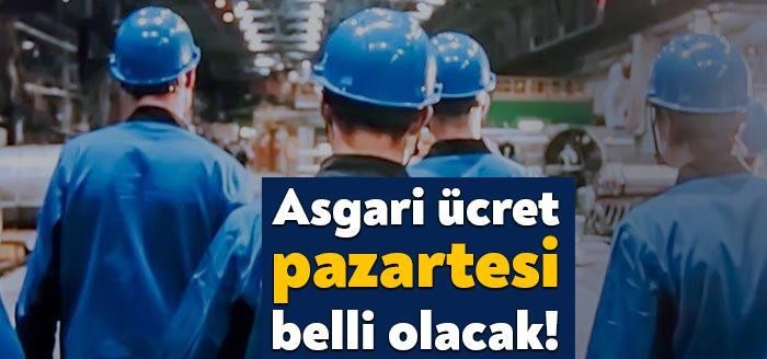 Aile, Çalışma ve Sosyal Hizmetler Bakanı Zehra Zümrüt Selçuk, Asgari