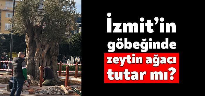 İzmit Belediyesi’nin hemen önünde yer alan Sabri Yalım Parkı’na yaklaşık