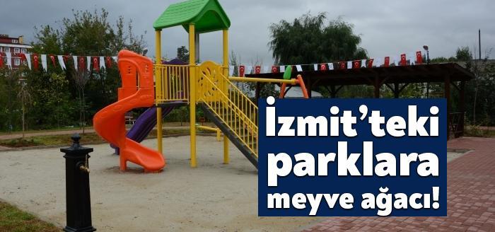 İzmit’teki parklara meyve ağacı!