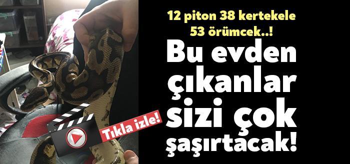 Kocaeli İzmit Yahya Kaptan Mahallesinde bulunan bir evde yapılan aramalarda
