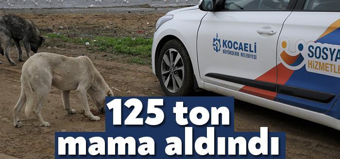 Kocaeli Büyükşehir Belediyesi, 2021 yılında sokak hayvanlarının aç kalmaması için