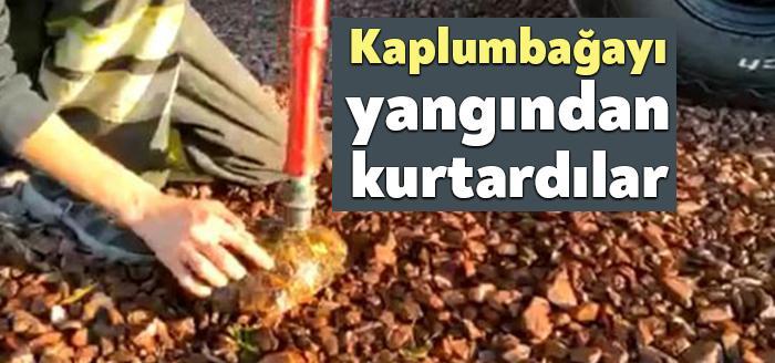 Kocaeli’nin Kandıra ilçesinde anız yangını sırasında alevlerin arasında kalan bir