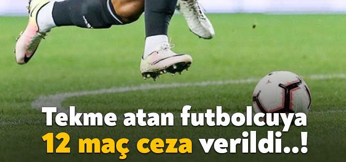 Türkiye Futbol Federasyonu Profesyonel Futbol Disiplin Kurulu, Misli.com 3. Lig'te