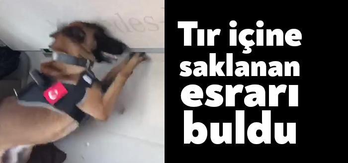 Kocaeli Emniyet Müdürlüğü ekipleri tarafından durdurularak arama yapılan bir tır