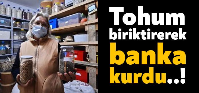 Kocaeli'nin Kandıra ilçesinde, emekli öğretmen Nardene Kuşçu (66), 60 yılda