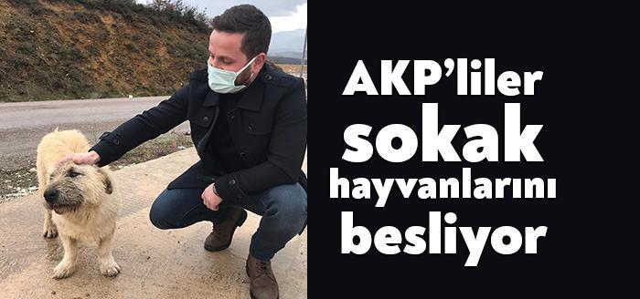 AKP İzmit İlçe Gençlik Kolları Teşkilatı’na üye gençler, İzmit’te sokak