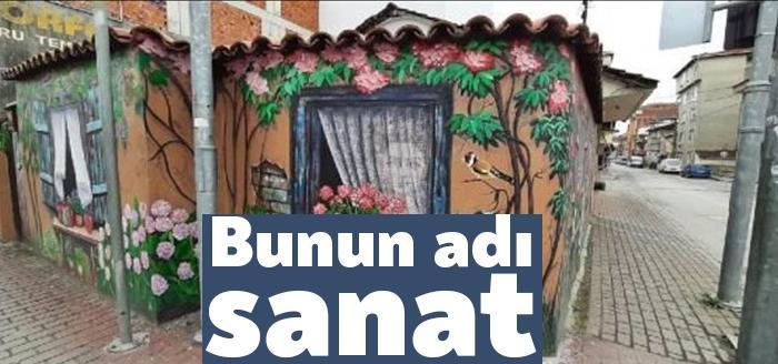 Kocaeli İzmit ilçesinde, ressam Ecaterina Nicolau (45), tek katlı eski