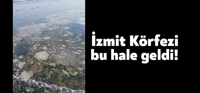 60 Evler Sahili'ni baştan sona kahverengi bir tabaka kapladı. Söz