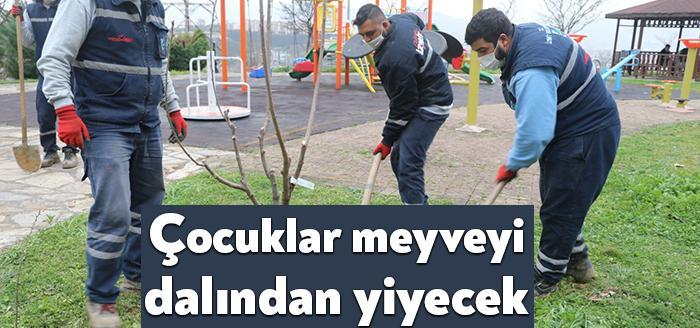 Yenilebilir peyzaj çalışmalarına başlayan İzmit Belediyesi, kentin parklarına gıda özelliği