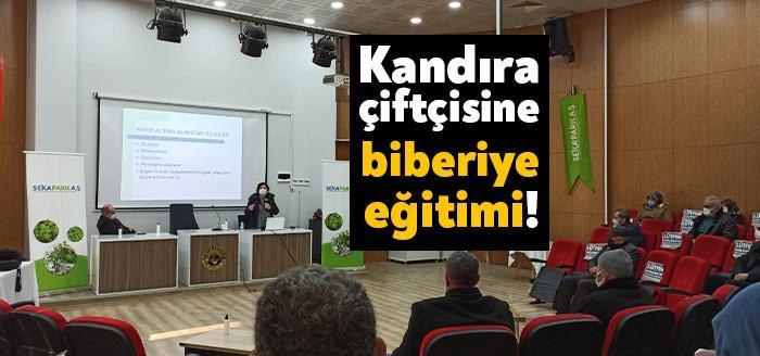 Kandıra’da 1100 dönüm alana biberiye ekecek olan çiftçilere Kocaeli Büyükşehir