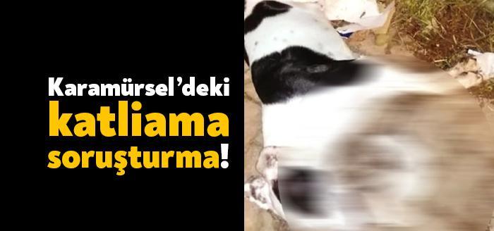 Kocaeli Karamürsel İlçesi Ereğli Mahallesinde önce tüfekle vurularak daha sonra