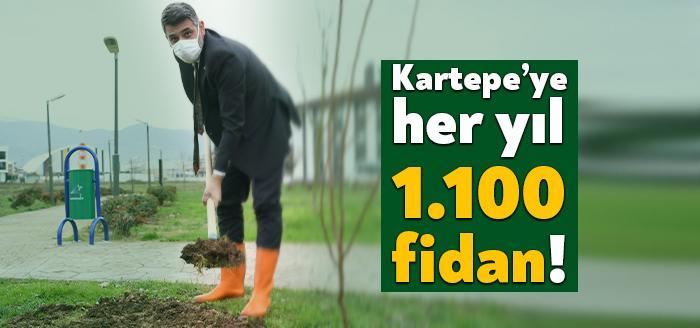 Kartepe projeler bir bir hayata geçiyor. Belediye organik tarımı desteklemek