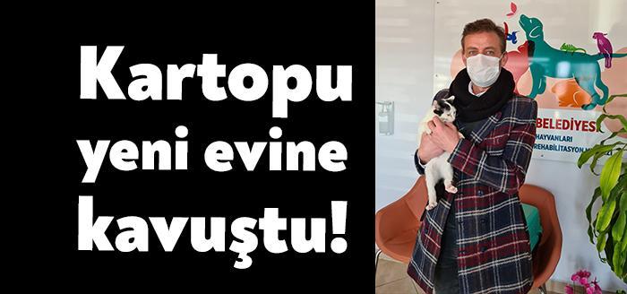 Körfez Belediyesi Sokak Hayvanları Geçici Bakımevi ve Rehabilitasyon Merkezi’nde sokak