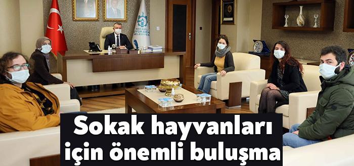 Kocaeli Doğa ve Hayvan Dostları Derneği Başkanı Gonca Çelik Ketenağ