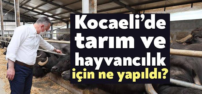 Kocaeli Büyükşehir Belediyesi, tarım ve hayvancılıkta gerçekleştirdiği kalkınma hamlesini 2020