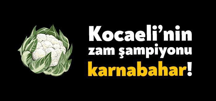 TÜİK tarafından açıklanan Tüketici Fiyatları Endeksi’ne (TÜFE) göre Kocaeli’de aralık