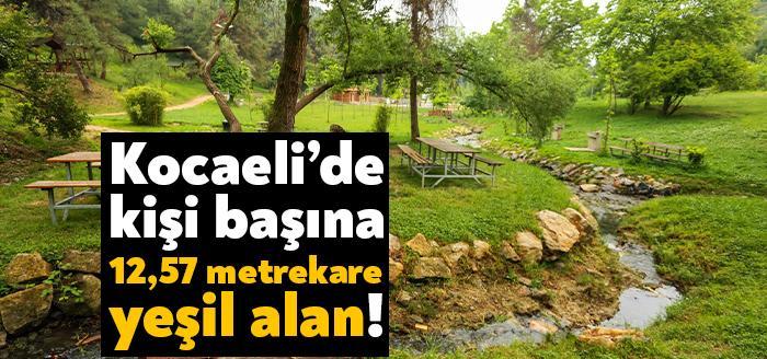 Kocaeli Büyükşehir Belediyesi, 2020 yılında yeşil alanlara yönelik çalışmalarını sürdürdü.