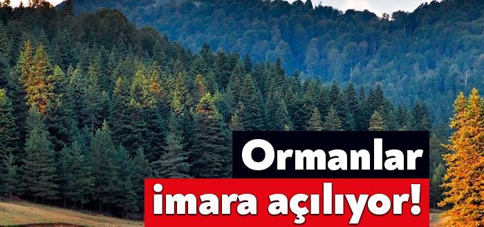 Ormanların imara açılmasıyla ilgili yönetmelik çıktı. Yapılaşmaya açılacak alanların sınırını