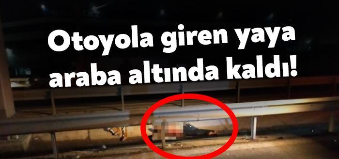 Kocaeli'nin Gebze ilçesinde, TEM'e girip, yolun karşısına geçmeye çalışan kişiye