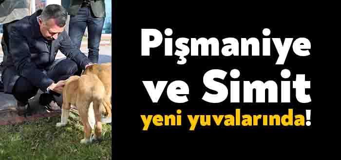 Kocaeli Büyükşehir Belediye Başkanı Tahir Büyükakın’ın sahiplendiği Pişmaniye ve Simit