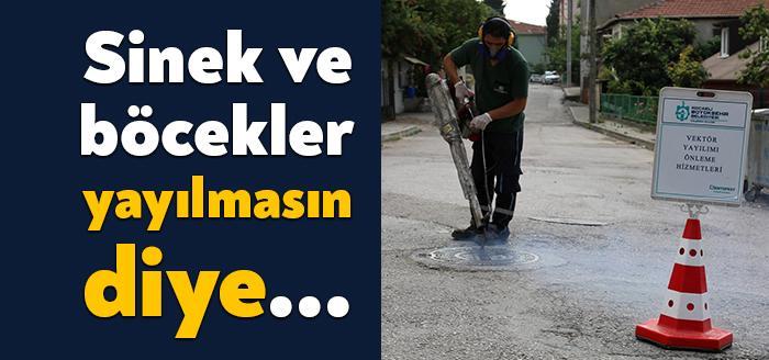 Kocaeli Büyükşehir Belediyesi Sağlık ve Sosyal Hizmetler Dairesi Başkanlığı Veteriner