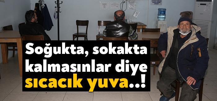 Büyükşehir Belediyesi, havaların soğuması ile birlikte sokakta bir şekilde kalmış