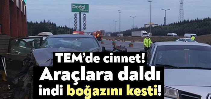 Kocaeli'nin Çayırova ilçesi TEM Otoyolu geçişinde dinlenme tesisine dalan cip,