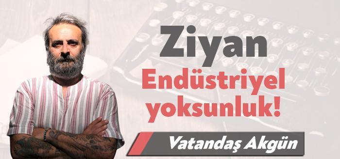 Anadolu’daki toprağı üzüm için en uygun iklim, ilk 3’te olmamız