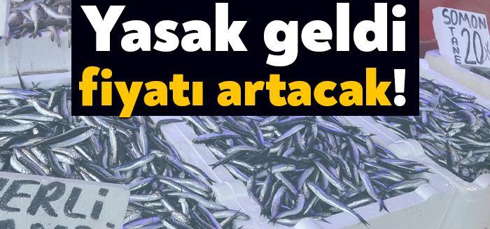 Tarım ve Orman Bakanlığı, Karadeniz'de avlanan hamsi balıklarında; yasal avlanabilir