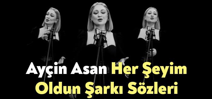 Ayçin Asan Her Şeyim Oldun Şarkı Sözleri, dinleyiciler tarafından merak