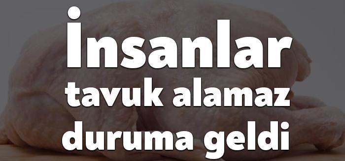 Son günlerde tavuk firmalarının yaptığı zamlarla rekor fiyata ulaşan tavuk