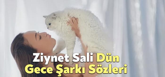 Ziynet Sali Dün Gece Şarkı Sözleri dinleyiciler tarafından merak ediliyor.