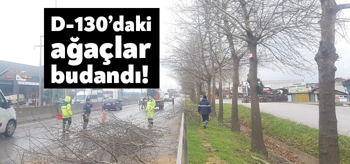 Kocaeli Büyükşehir Belediyesi hafta sonu D-130 karayolu kenarında bulunan ağaçlarda