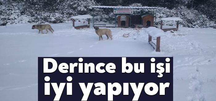 Derince Belediyesi ekipleri, sokağa çıkma kısıtlamasının uygulandığı ve kar yağışının