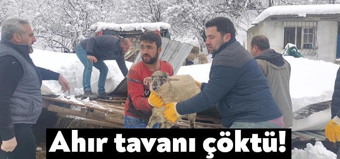 Kocaeli’yi etkisi altına alan kar yağışı nedeniyle Gölcük ilçesinde bir