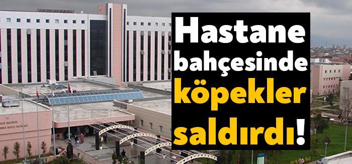 Kocaeli’nin Derince ilçesinde yer alan Derince Eğitim ve Araştırma Hastanesi’nde